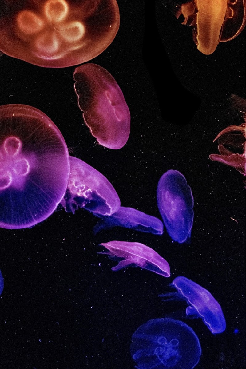 Luminous Stones